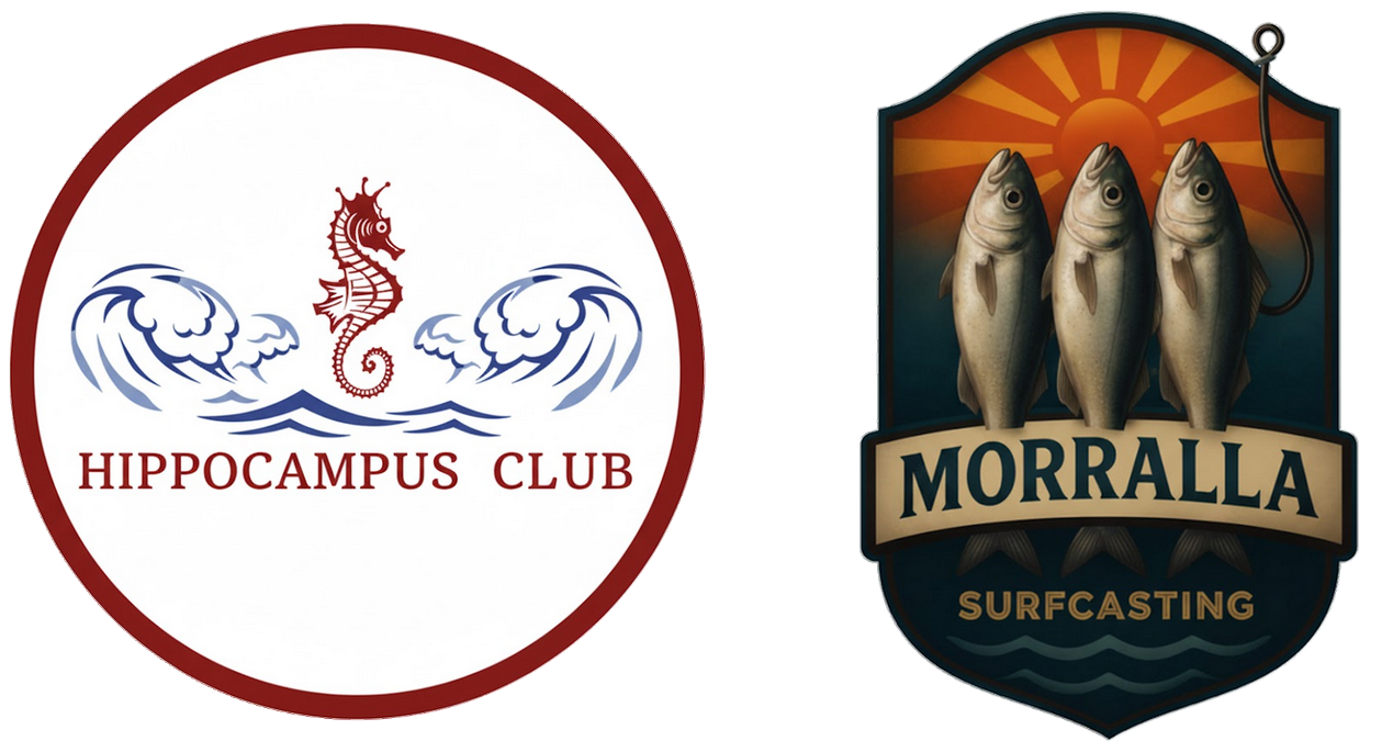 HIPPOCAMPUS / MORRALLA